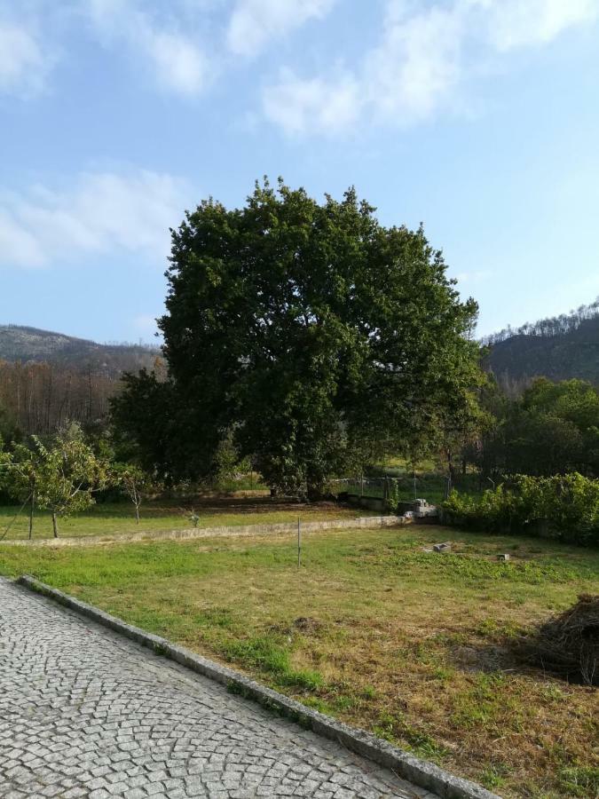Casa Dos Lacos Viseu Ngoại thất bức ảnh